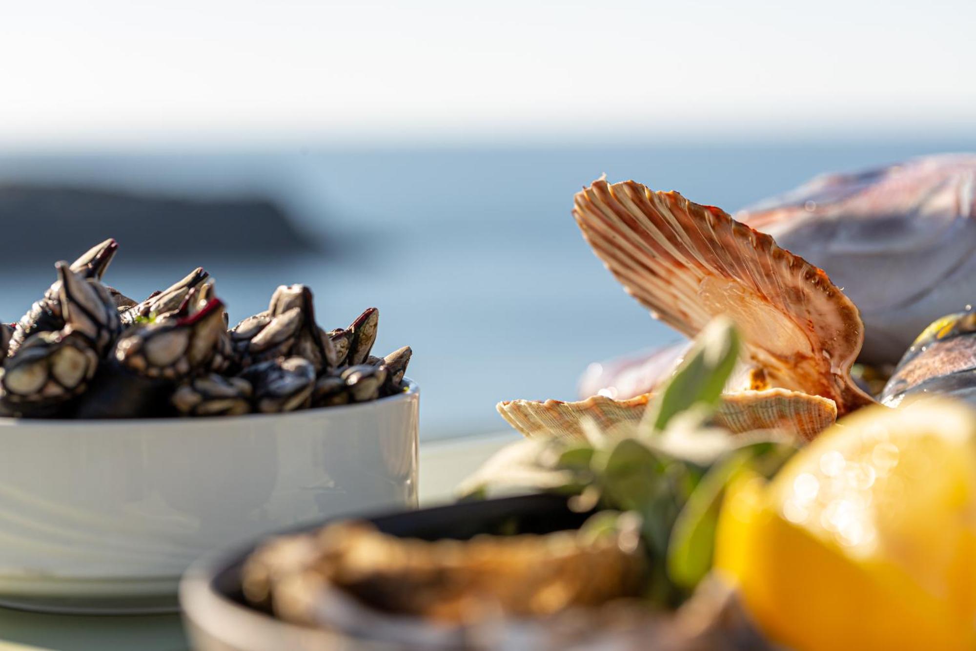 Le Grand Large, Belle-ile-en-mer Hotel 3*